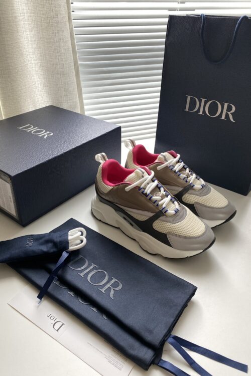 Dior B22 Sneaker